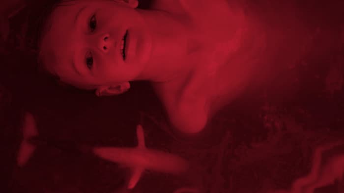 LUMA Arles / In the Veins · photo 1