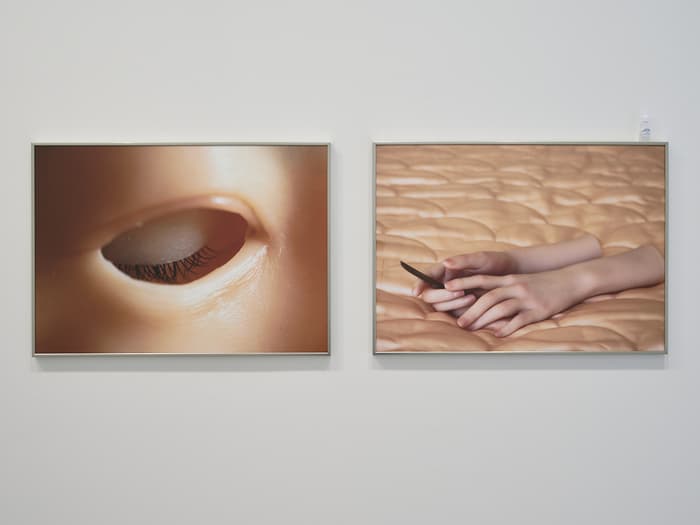 exposition · là où les organes oragent · photo 1