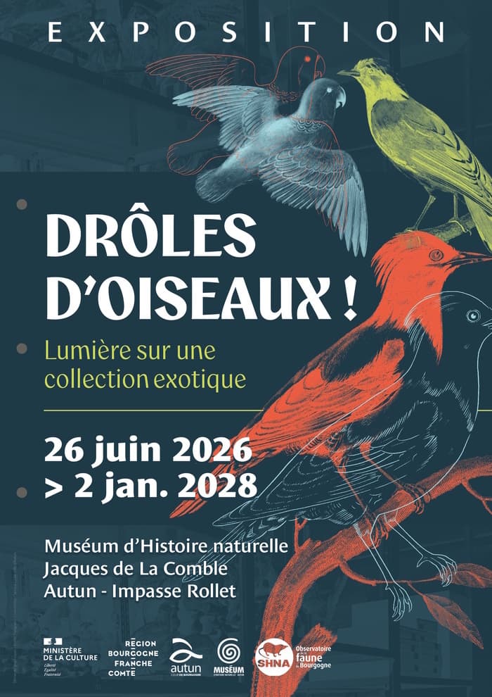Drôles d'oiseaux : lumière sur une collection exotique (visite guidée de l'exposition temporaire) · photo 1