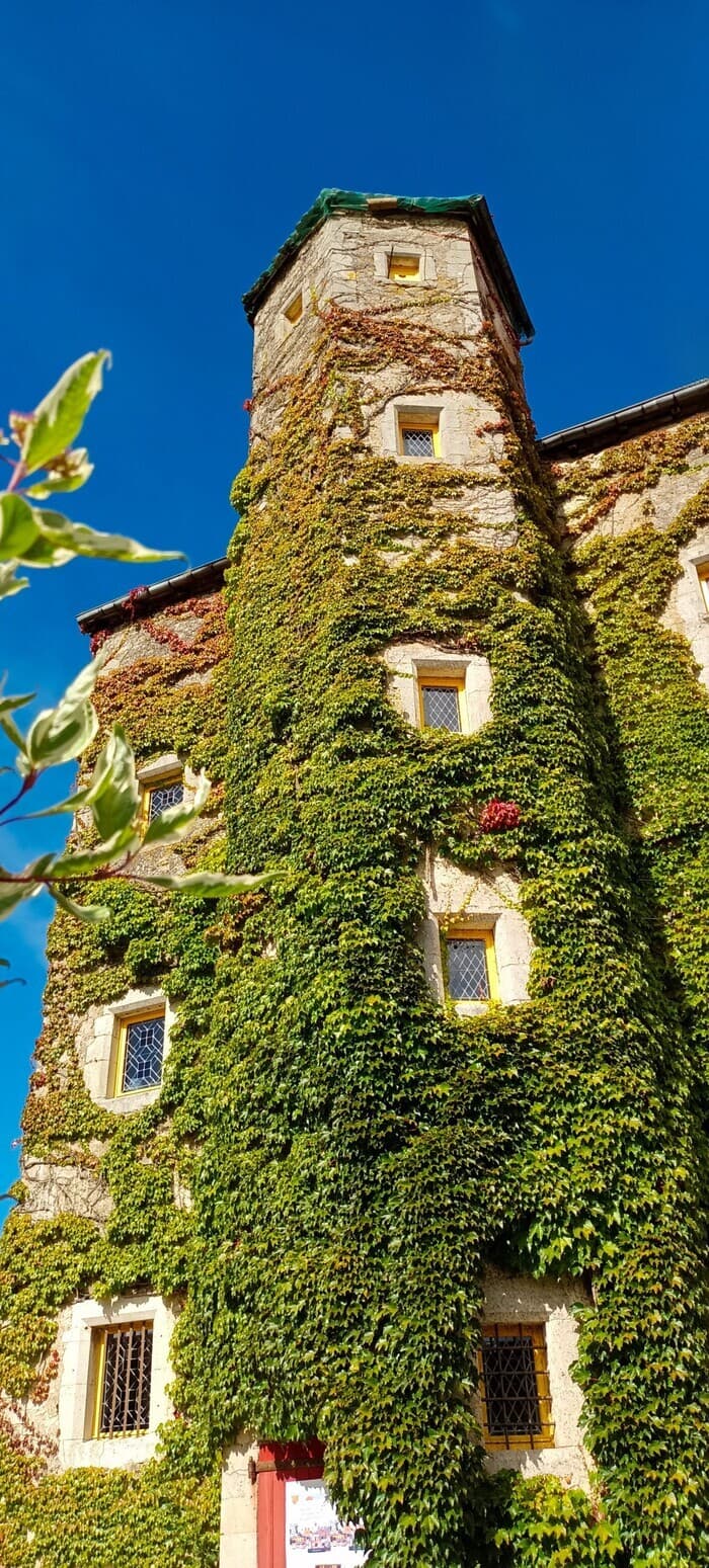 Visite libre et commentée du Manoir de Sexey aux Forges · photo 1