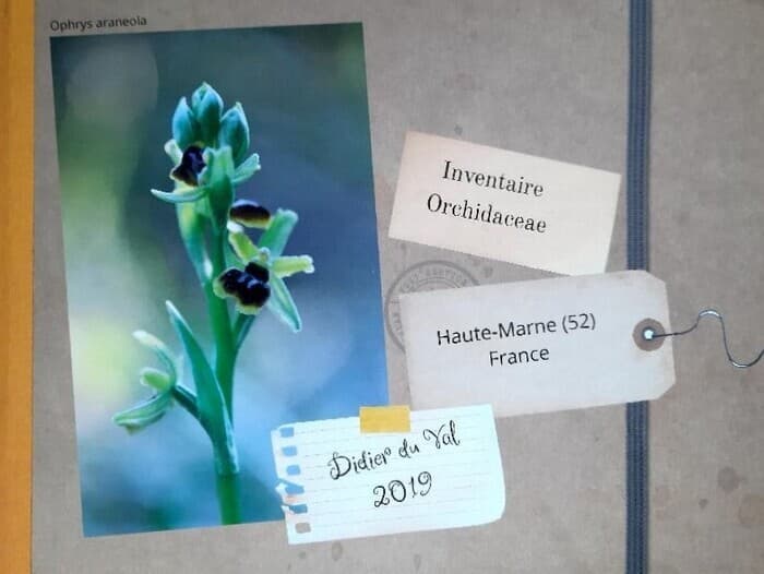 Exposition Photographique  "Les Orchidées sauvages de la Haute-Marne - Etat des lieux 2026" · photo 1