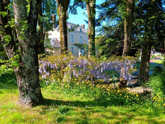 Visite guidée d'un petit hôtel particulier fin XVIII ème aux décors peints d'époque et de son vaste jardin à la faune et · photo 1