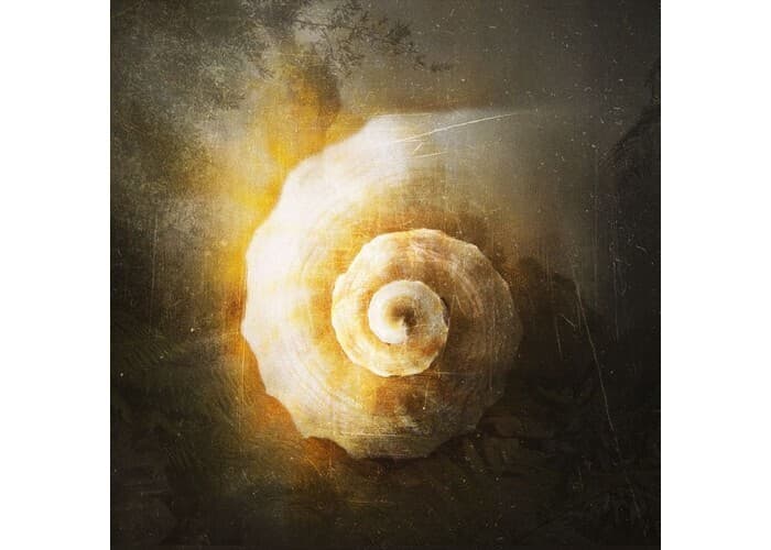 Le temps qui pousse - Parcours sonore d’Alain Damasio et Floriane Pochon · photo 1
