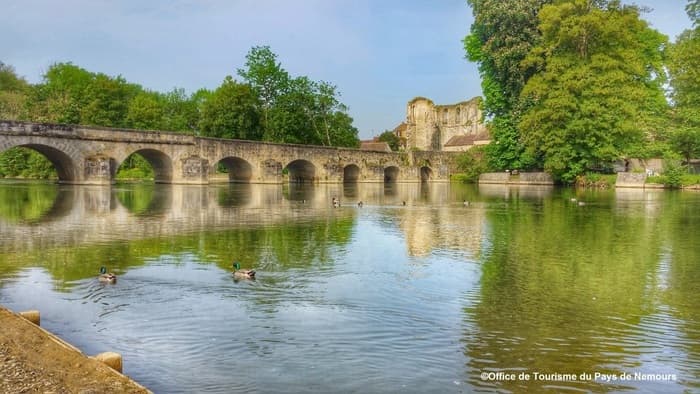 Le vieux pont de pierre "Témoin du temps qui passe" · photo 1