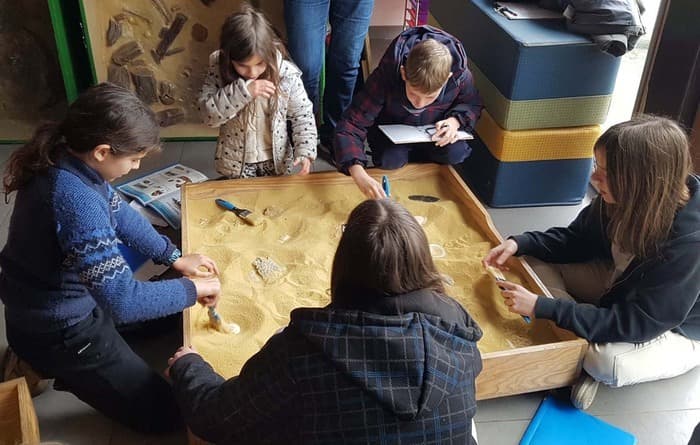 Atelier : "Que nous racontent les fossiles ?" · photo 1