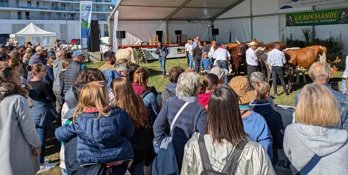 Festival Vachement Caen le 6 septembre 2026 · photo 1