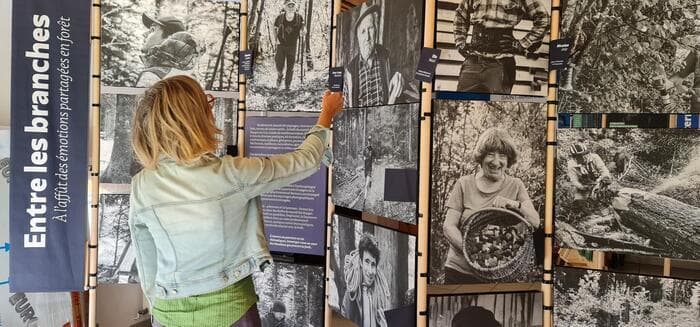 Exposition « Entre les branches, à l’affût des émotions partagées en forêt  » · photo 1