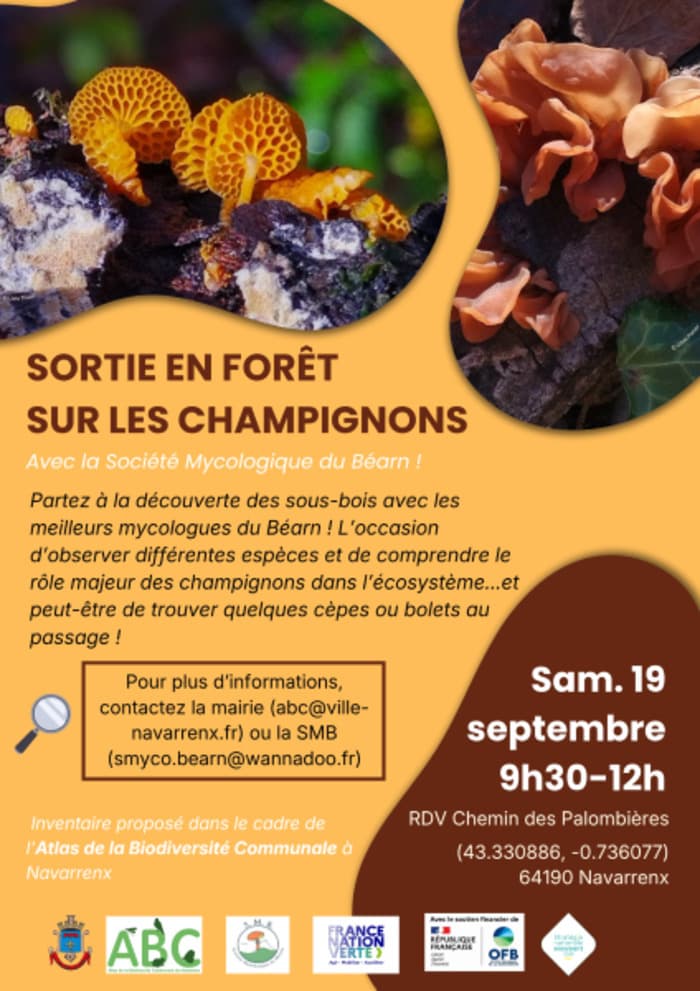 À la découverte des champignons des vielles forêts · photo 1