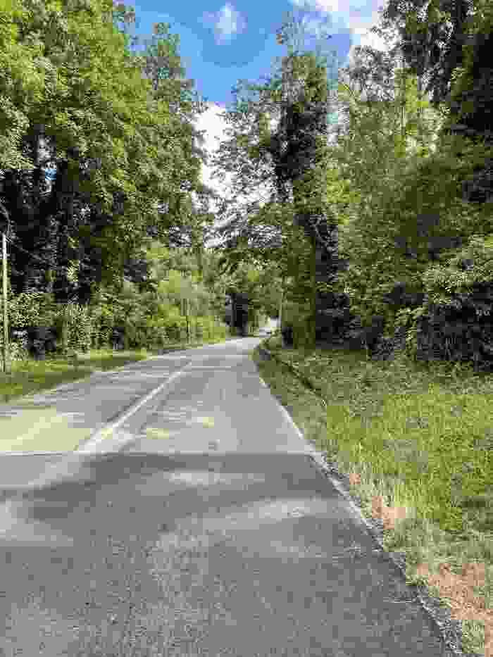 Sur la route de la Montcient · photo 1