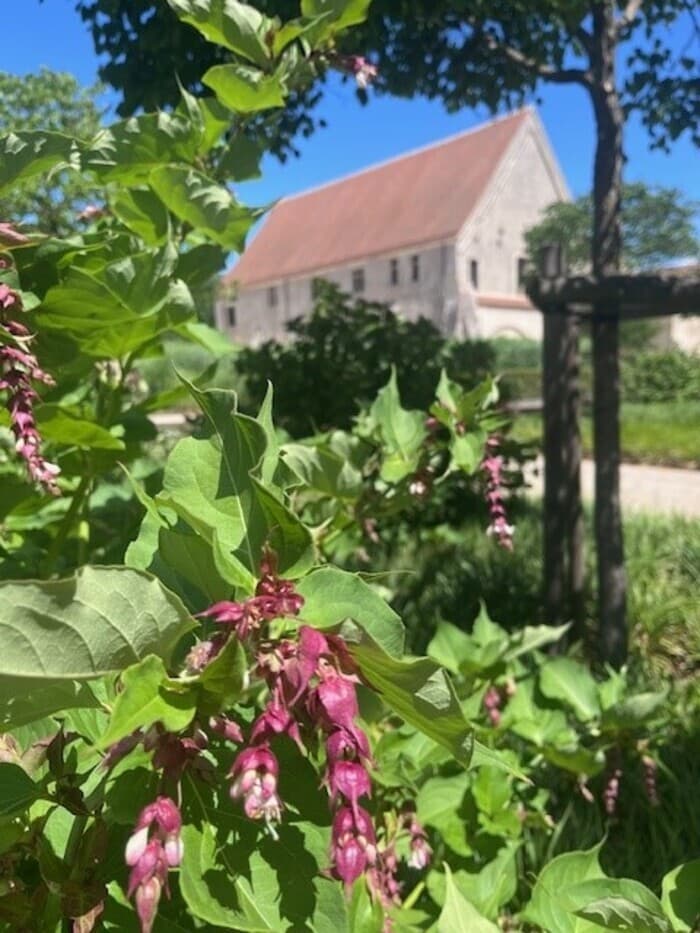 Un jardin, une couleur · photo 1