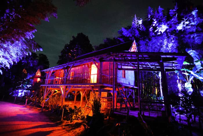 Arborescences : spectacle son et lumière · photo 1