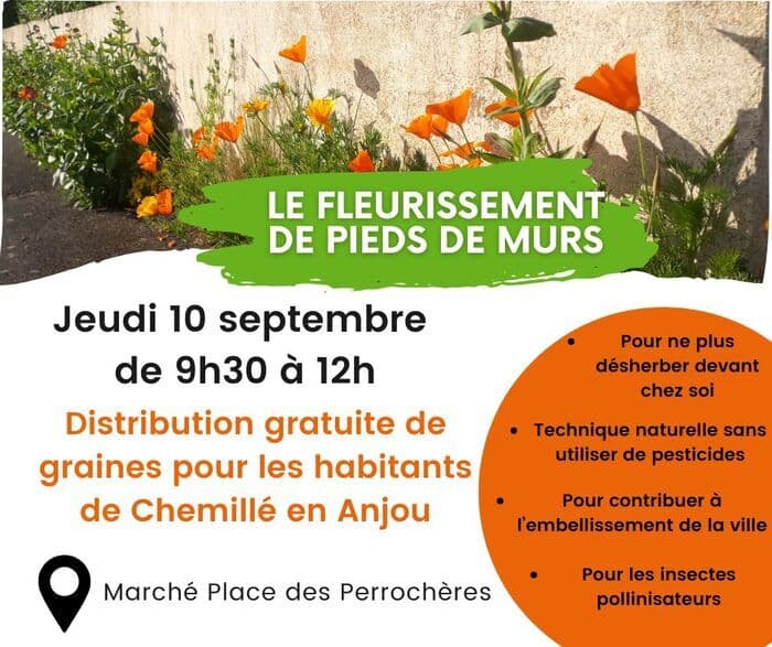 Distribution de graines de fleurs · photo 1