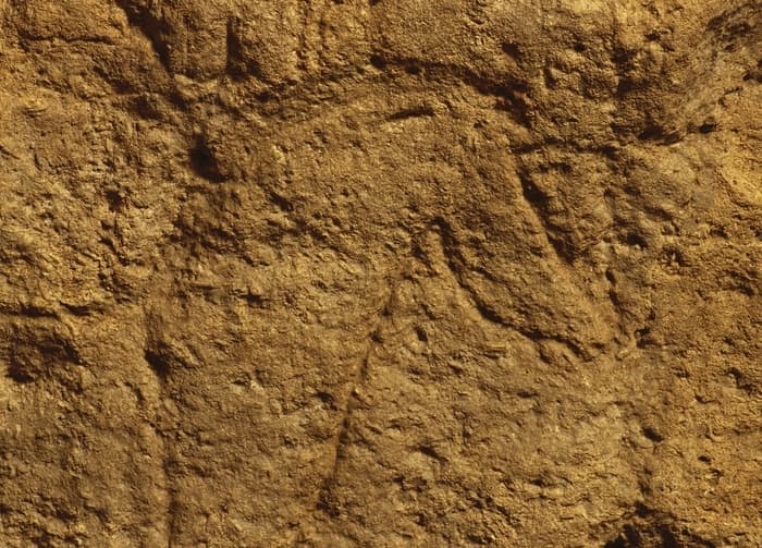 Visite guidée de la Grotte de Pair-non-Pair · photo 1