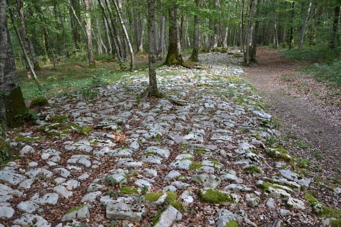 Photos gallo-romaines : pierres et nature · photo 1