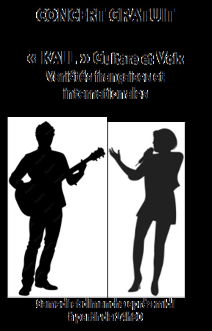 KALL vous propose  un concert guitare/voix dans un Manoir · photo 1