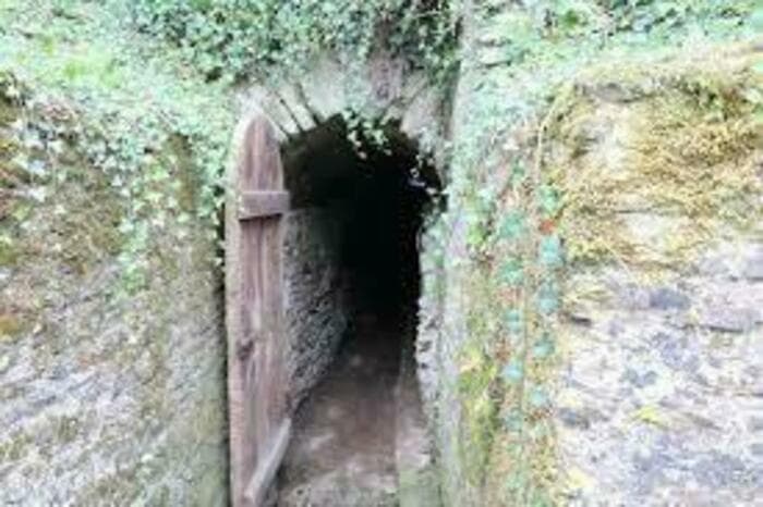 Levez les yeux ! Découverte insolite d'un souterrain médiéval · photo 1