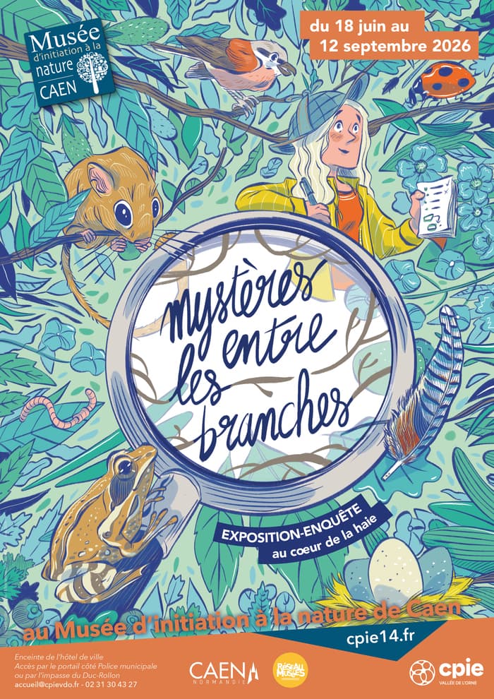 Mystères entre les branches · photo 1