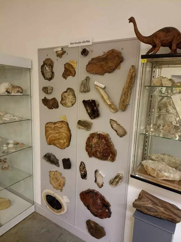 Découvrez les secrets géologiques de notre Terre · photo 1