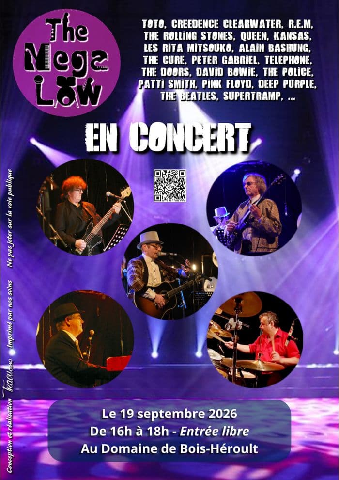 Concert du groupe The Magalow · photo 1