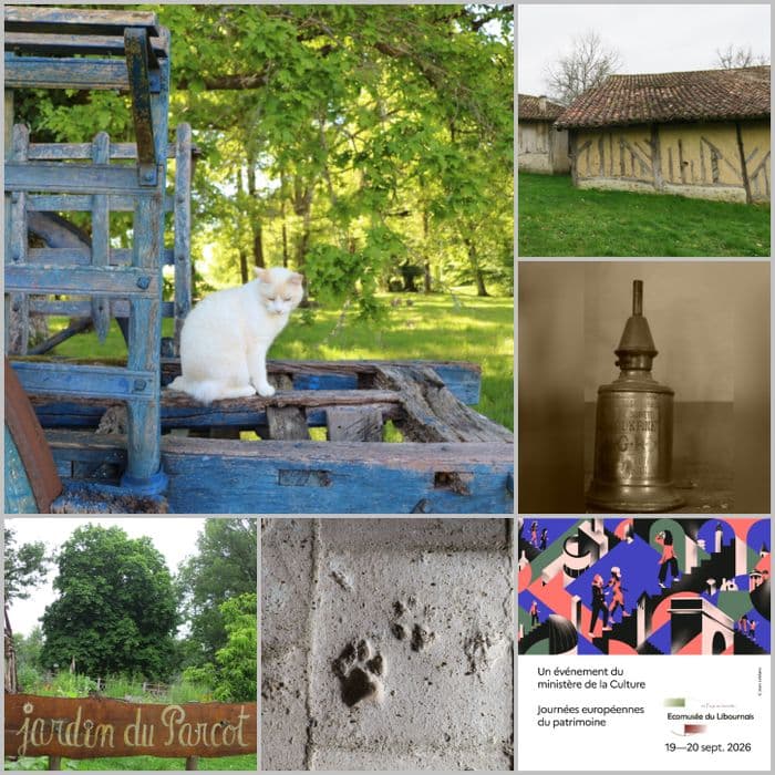 Exposition : patrimoine et bestiaire · photo 1