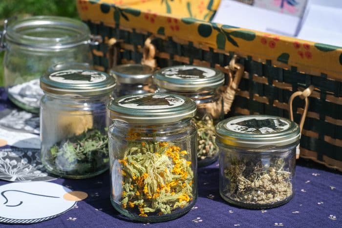 Atelier « Plantes médicinales » animé par Pauline Lasson (Les Chuchotantes) · photo 1