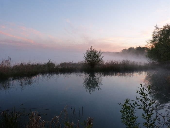 BERVILLE sur SEINE 76 : Animation ornithologie du GONm · photo 1