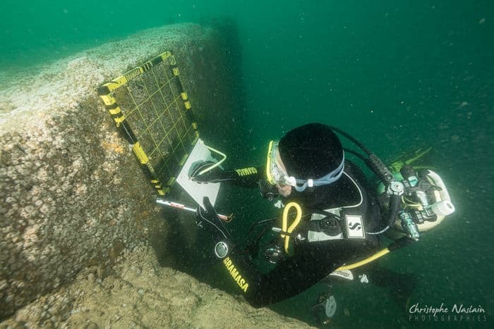 Plongée sous-marine sur les blockhaus engloutis du Bassin d'Arcachon · photo 1