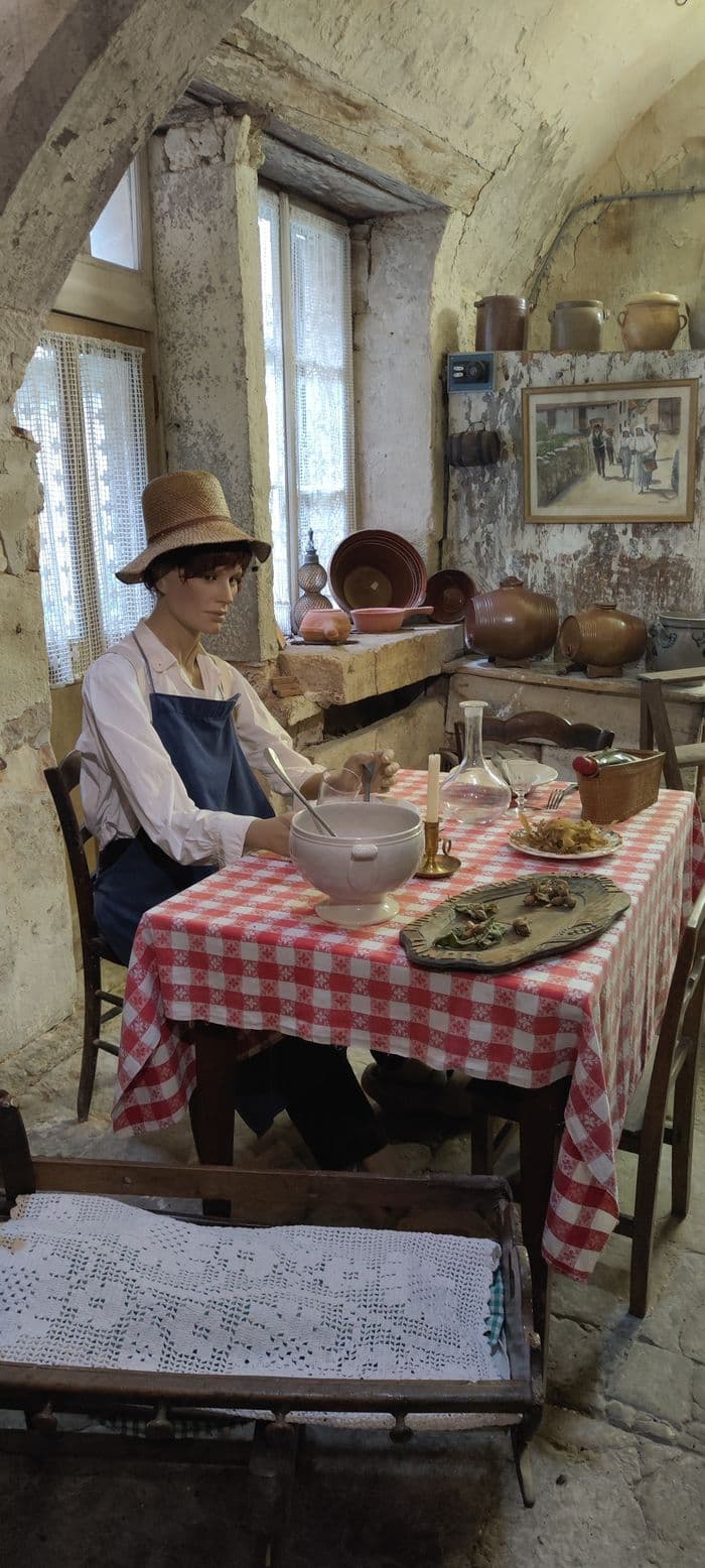 Découvrez le musée de la Vigne et du vin · photo 1