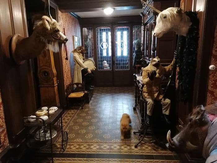 Visite de la Licorne et de son cabinet de curiosité · photo 1