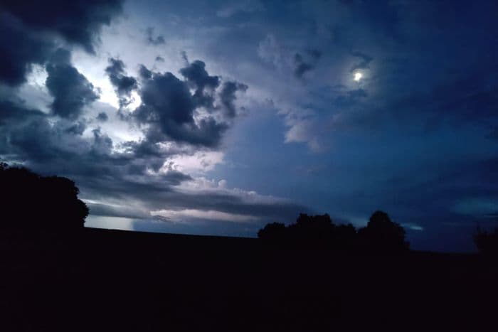 Sortie nocturne dans la forêt · photo 1