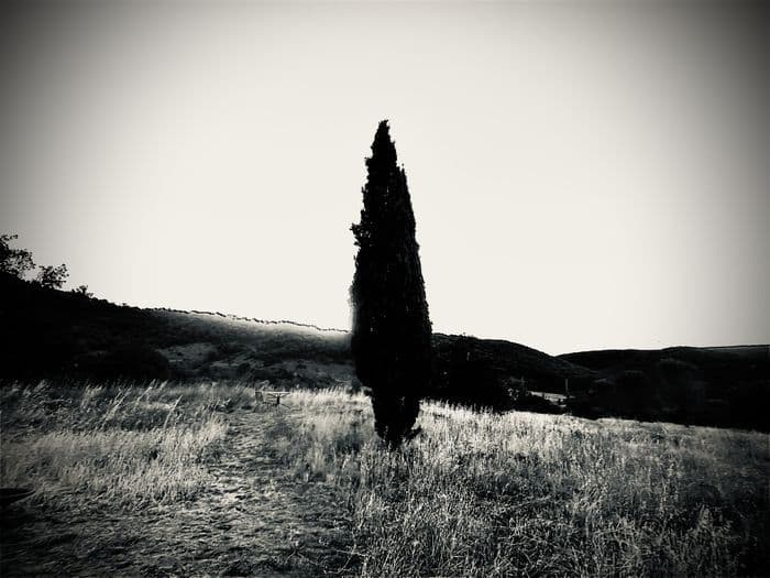 Atelier photographique, la découverte du sténopé, l'origine de la photo · photo 1