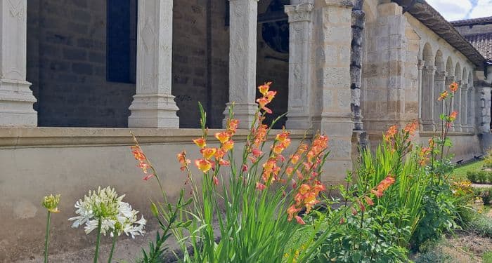 [Spectacle] Le jardin du cloître : une renaissance · photo 1