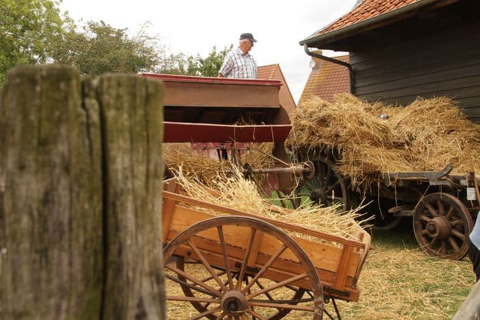 Fête de la paille et de la laine · photo 1