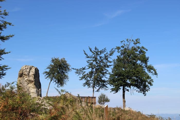 Balade contée sur les chemins du bois des Gaulois et du Sylvetum de Marols · photo 1