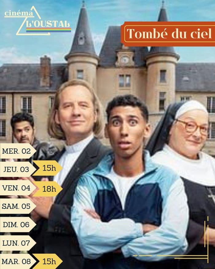Tombé du ciel, Comédie, de Mohamed Hamidi · photo 1