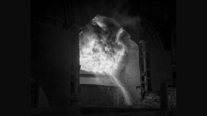 Vernissage - ONE MILLIMETER OF BLACK DIRT, AND A VEIL OF DEAD COWS · photo 1