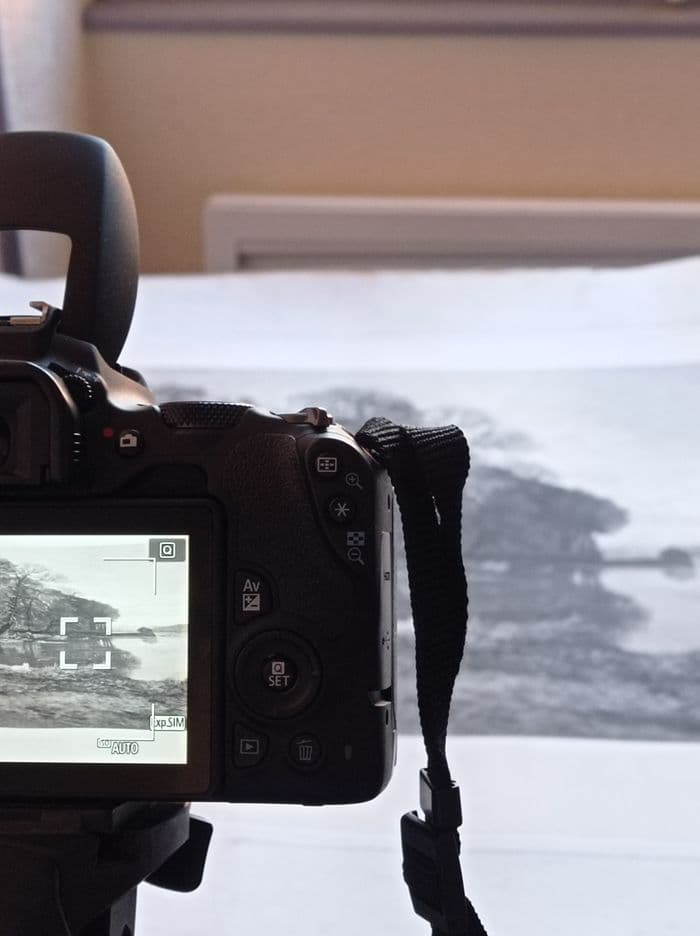 Les coulisses du musée "Conservation et collections" · photo 1