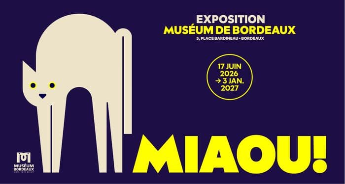 Exposition Miaou! · photo 1