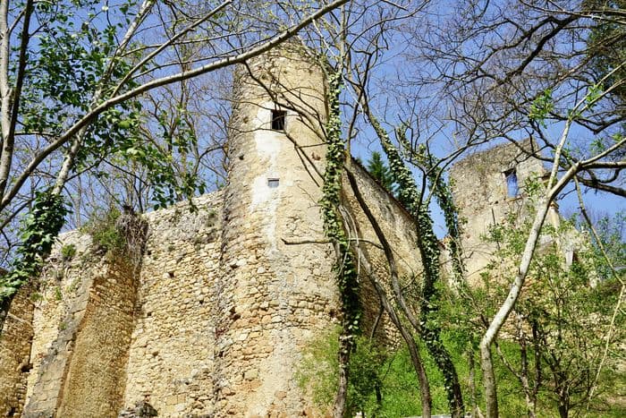 Visite libre du château · photo 1