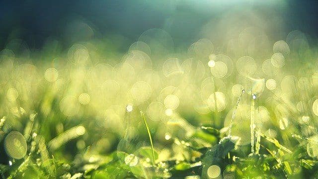 Balades nature : Au fil des haies · photo 1