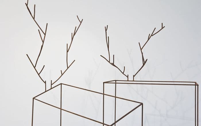 Découvrez l'exposition « Éloge du trait » dans la collection agnès b. · photo 1