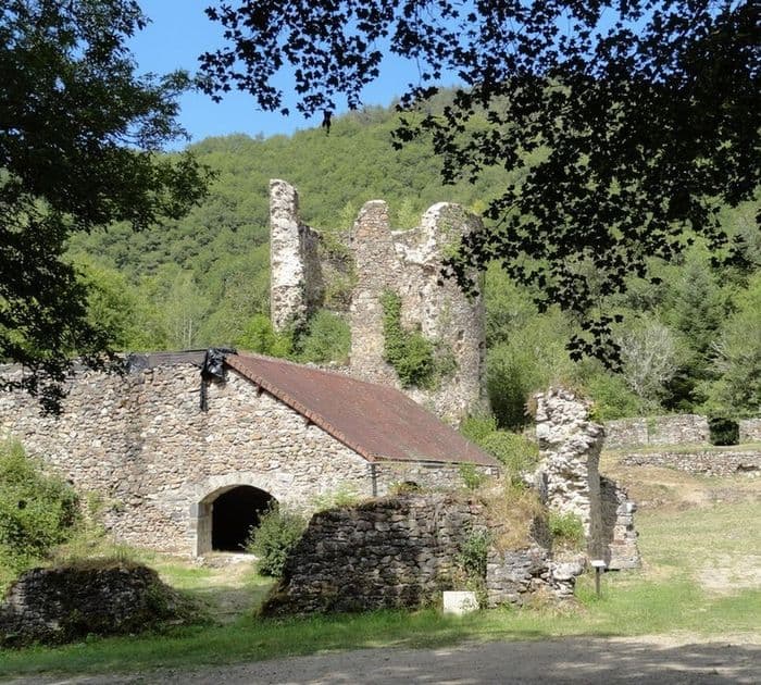 Découverte de la Chartreuse Port Sainte Marie · photo 1