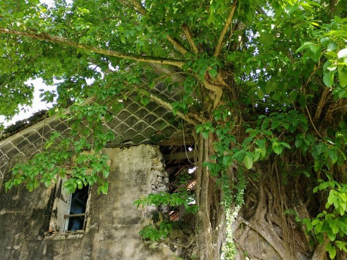 VISITE COMMENTÉE DE L'HABITATION DUFFERET · photo 1