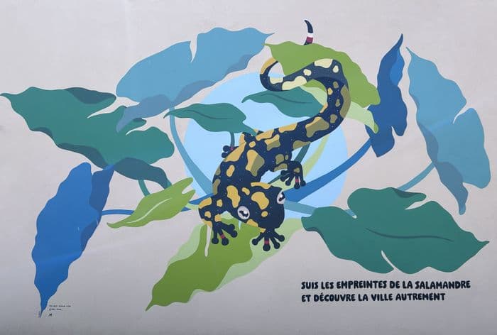 Balade urbaine "Parcours de la Salamandre" · photo 1