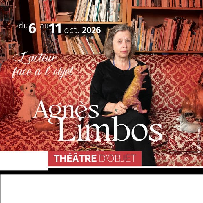 Le théâtre d'objet : stage d'Agnès Limbos · photo 1