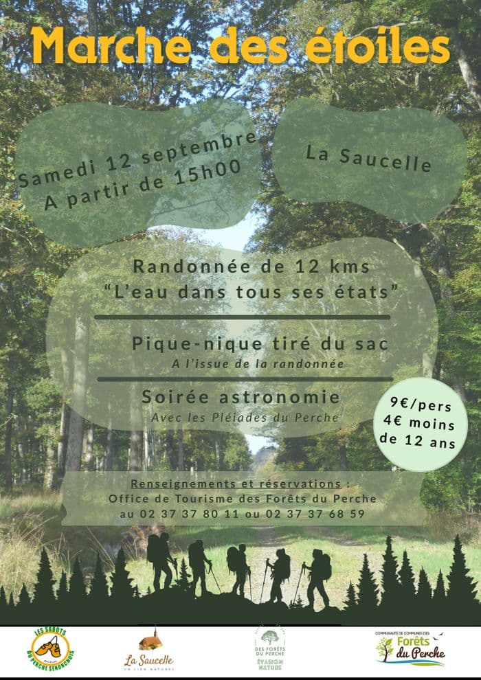 Randonnée en Forêts du Perche - La Saucelle · photo 1