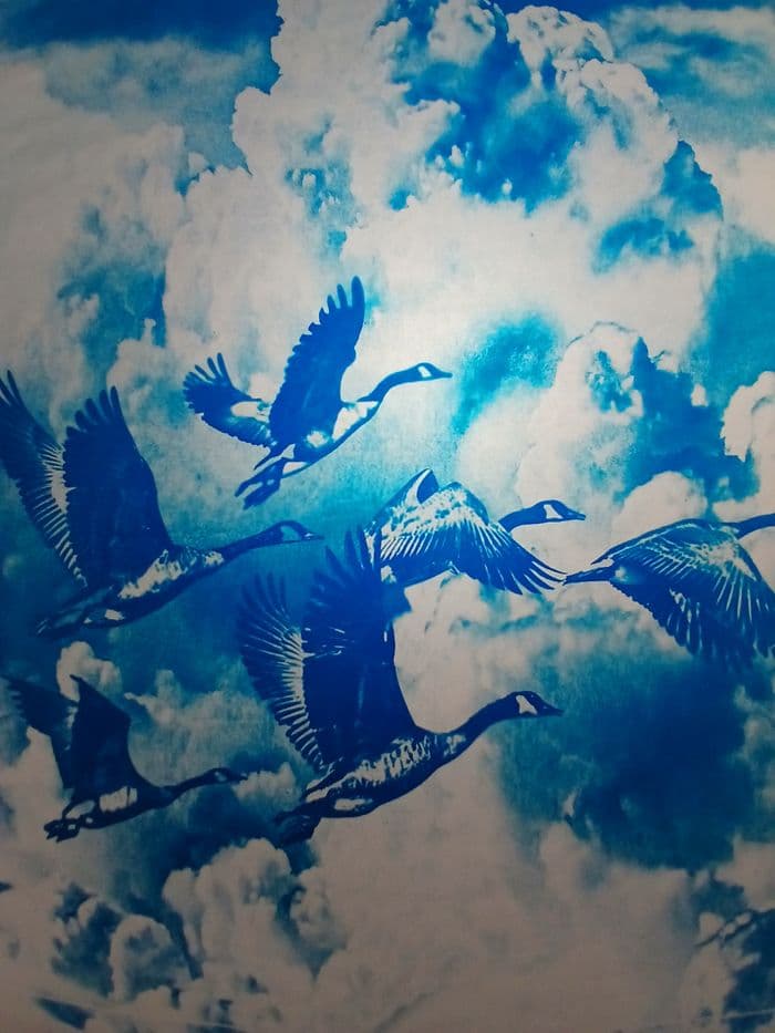 Ateliers cyanotypes · photo 1