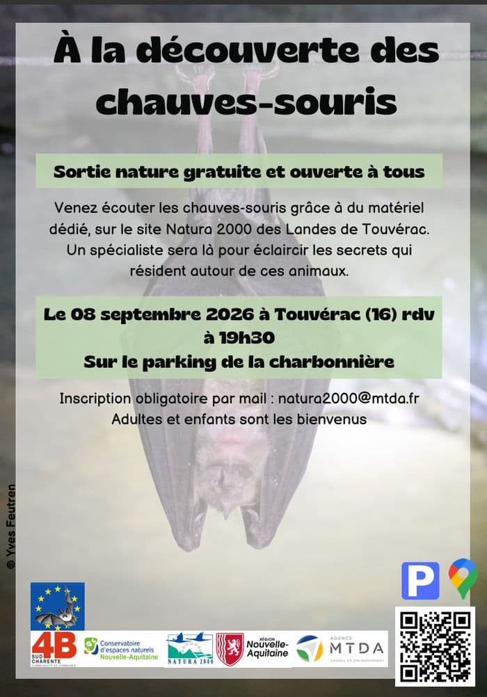 À la découverte des chauves-souris · photo 1