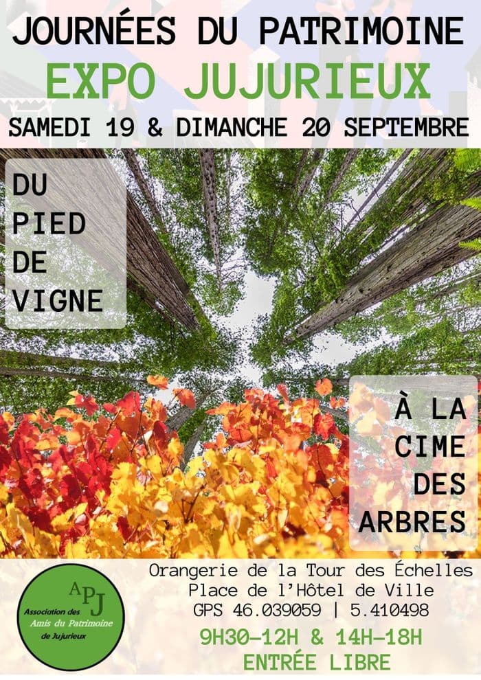 EXPO : Du pied de vigne à la cime des arbres · photo 1