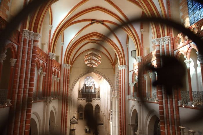 Visite libre de la cathédrale Saint-Vincent de Chalon-sur-Saône · photo 1